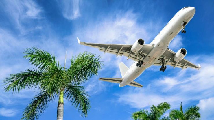 Самолет летит над пальмами жарких стран, потому что время отправиться в отпуск далеко-далеко