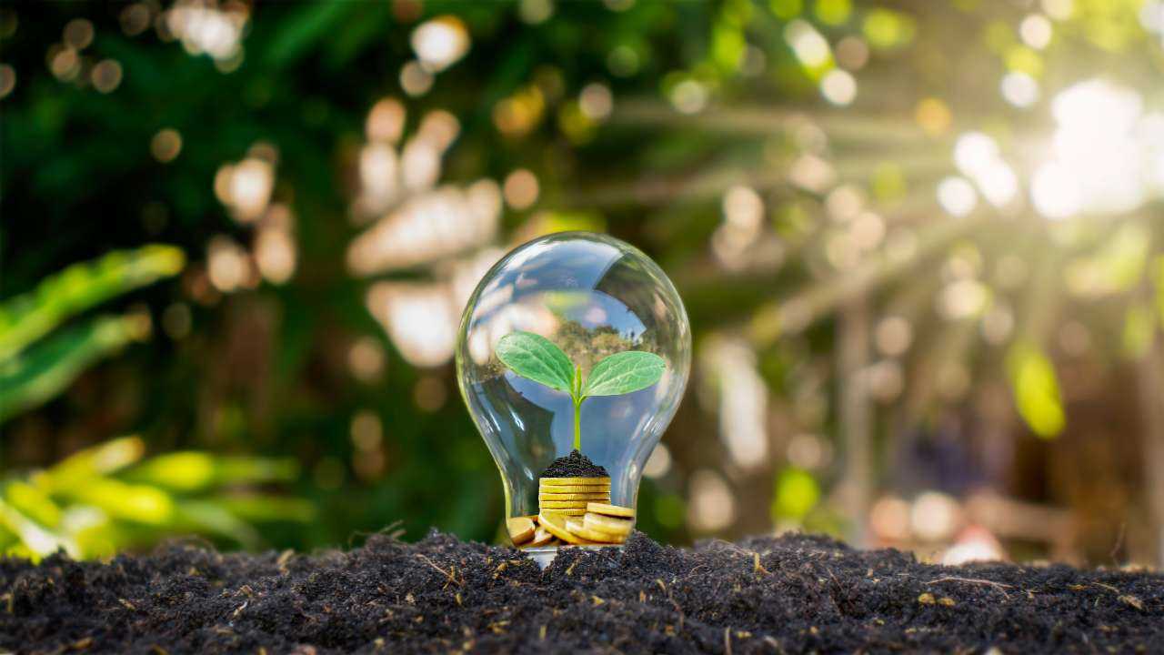 Изображение лампочки с ростком и монетами на почве, символизирующее важное для людей и природы энергосбережение