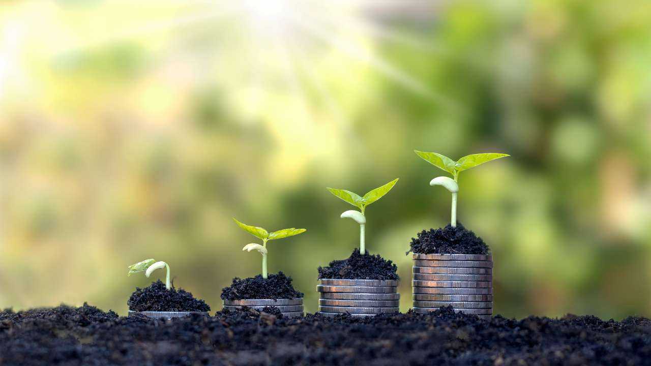 Из земли прорастают 4 кучки монеток с ростками, как формирование здоровых финансовых привычек